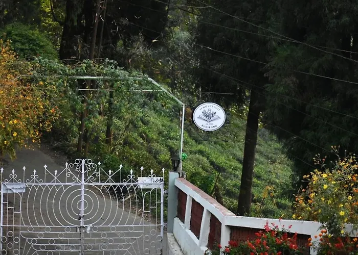 11 Monteviot: Luxury Homestay Overlooking A Tea Estate