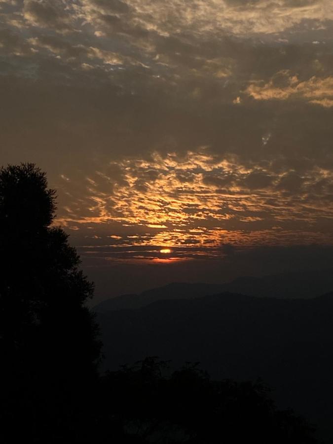 Homestay 11 Monteviot: Luxury Homestay Overlooking A Tea Estate *