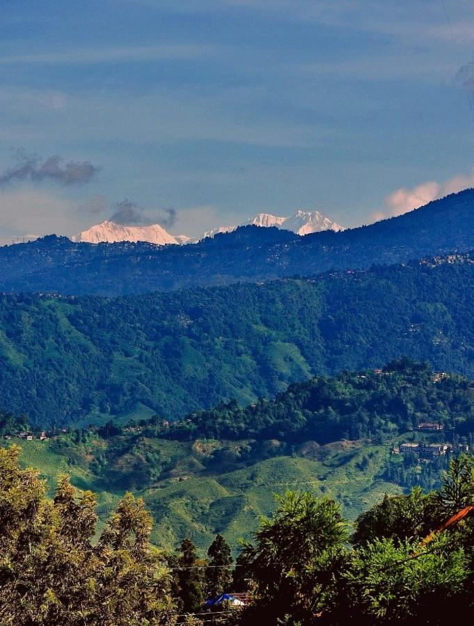 11 Monteviot: Luxury Homestay Overlooking A Tea Estate Homestay *