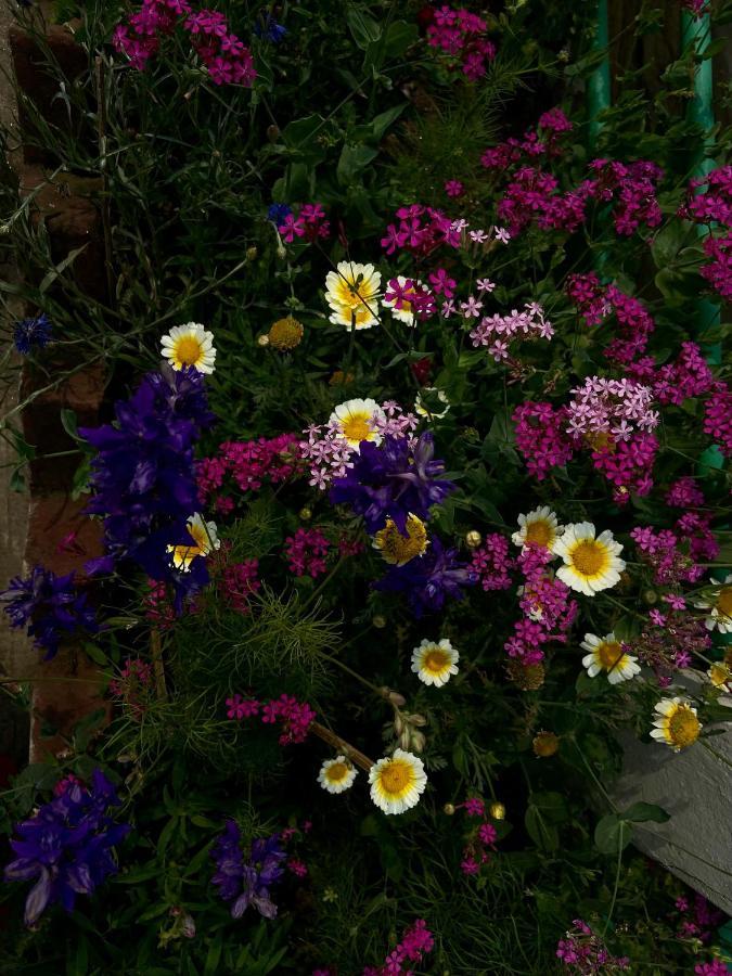 11 Monteviot: Luxury Homestay Overlooking A Tea Estate Kurseong