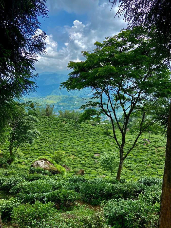 Homestay 11 Monteviot: Luxury Homestay Overlooking A Tea Estate Kurseong